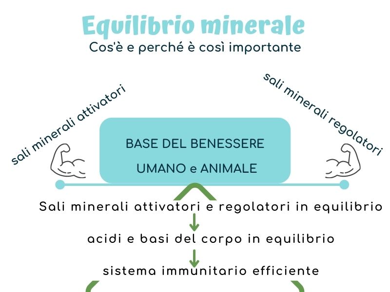 equilibrio minerale