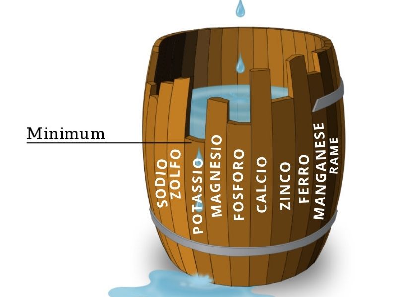 equilibrio minerale