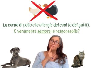 carne di pollo e le allergie dei cani