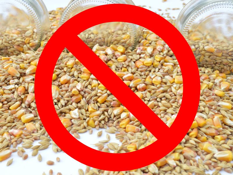 alimenti grain free