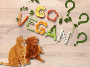 Dieta vegana per cane e gatto